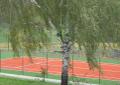 Apartament 80m2 Wiśniowy Sad, Czuby