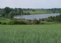 Atrakcyjne działki nad jeziorem z linią brzegową