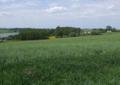 Atrakcyjne działki nad jeziorem z linią brzegową