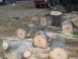 Czyszczenie zaniedbanych działek Wycinka drzew, rozbiórki F-Vat