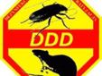 Dezynfekcja Dezynsekcja Deratyzacja Ozonowanie - FIRMA DDD