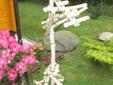 Drewniany stojak dla papug z brzozy