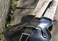 Gitara Elvisa ARCHTOP HOYER -lata 50' gitara jazzowa ! UNIKAT