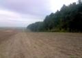 Gospodarstwo ROLNE – Glanów gm. Trzyciąż - 4,88 ha