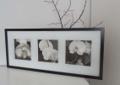 IKEA ERIKSLUND piękny obraz kwiaty storczyki home
