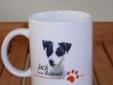 Jack Russell Terrier KUBEK