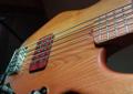 Nexus Bass MM5s