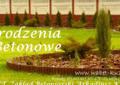 OGRODZENIA BETONOWE Zakład Betoniarski WABET Kuzioła Arkadiusz PRODUCENT TRANSPORT MONTAŻ raty Lublin lubelskie Łęczna