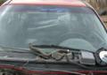 OPEL ASTRA Drzwi, maska, błotnik l + p, szyba, klapa, koła, zawieszeni