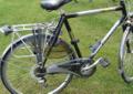 Rower Gazelle Fuente Trekking
