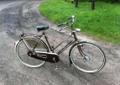 Rower Klasyk Damka Gazelle Trim Sport/Solid - nie Batavus, RIH, Sparta