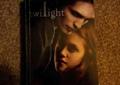 Stephenie Meyer twilight, Zmierzch PO ANGIELSKU, książka z Ameryki