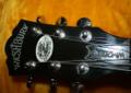 Wspaniał gitara Washburn Custom Shop WM200 Chicago USA