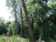 Wycinki drzew, alpinistycznie z podnośnika odśnieżanie F-Vat